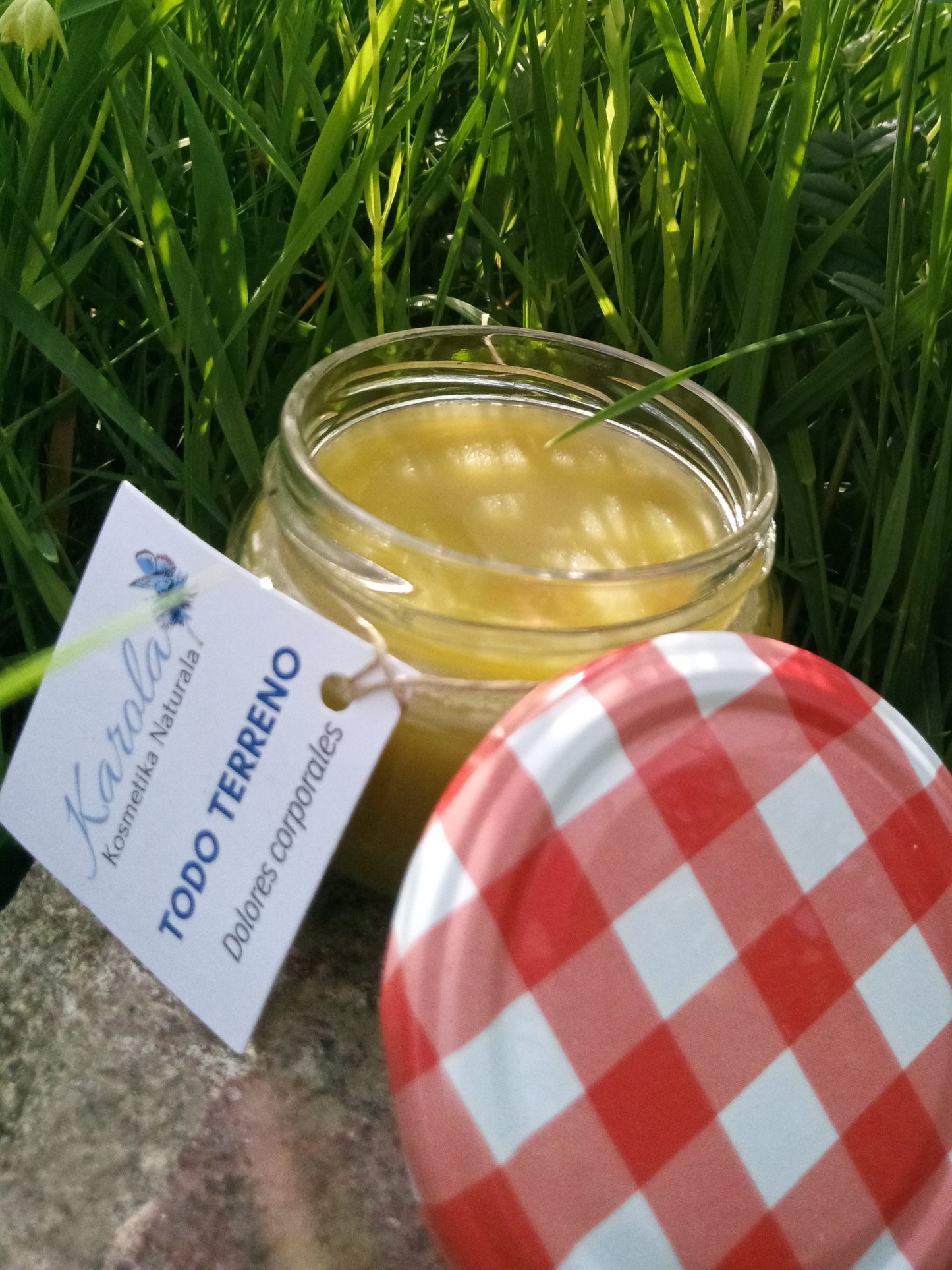 TODO TERRENO. Pomada para muchos tipos de dolencias.