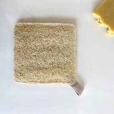 LUFA ESPONJA ORGANICA