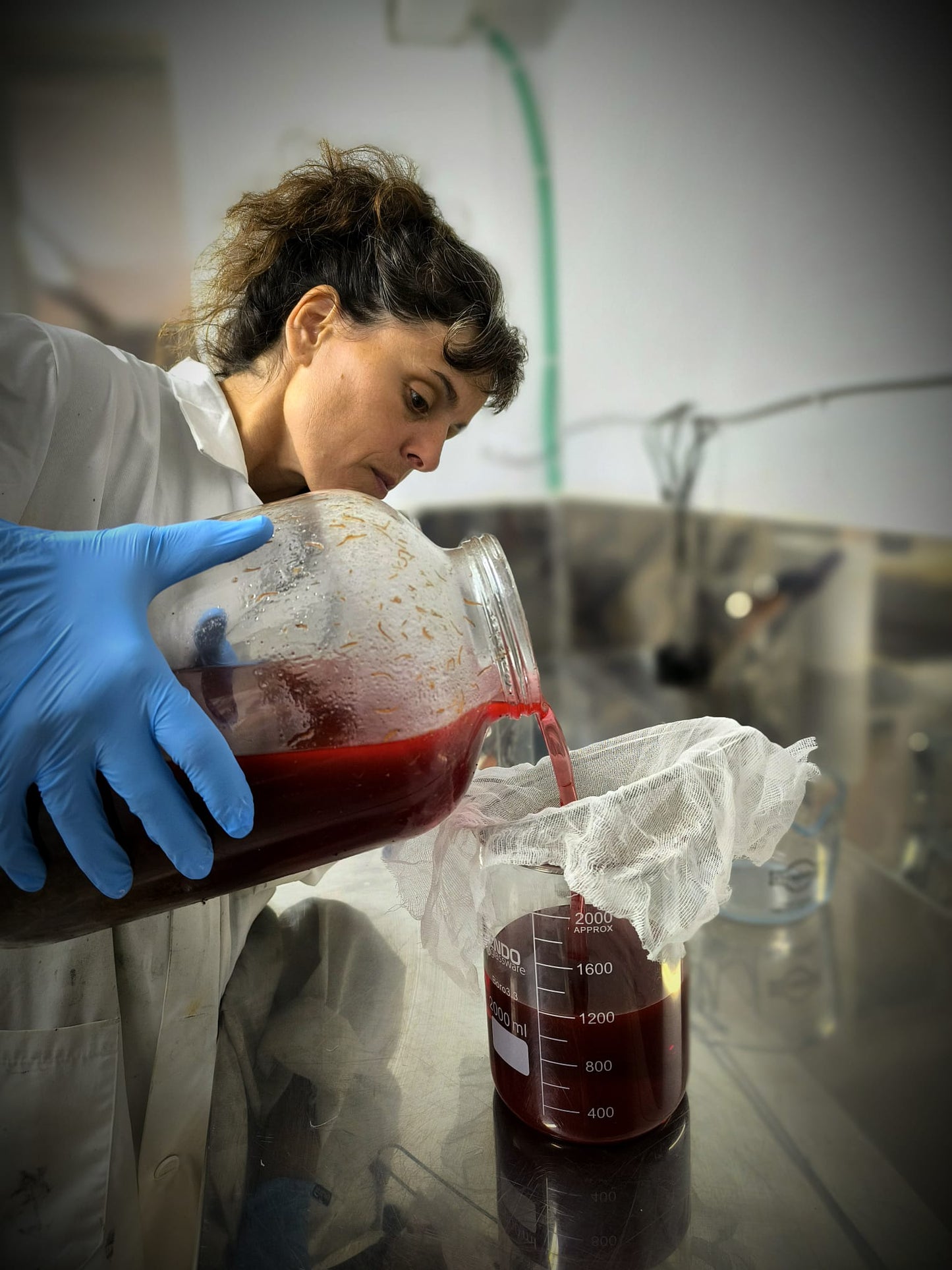 ACEITE DE HIPÉRICO